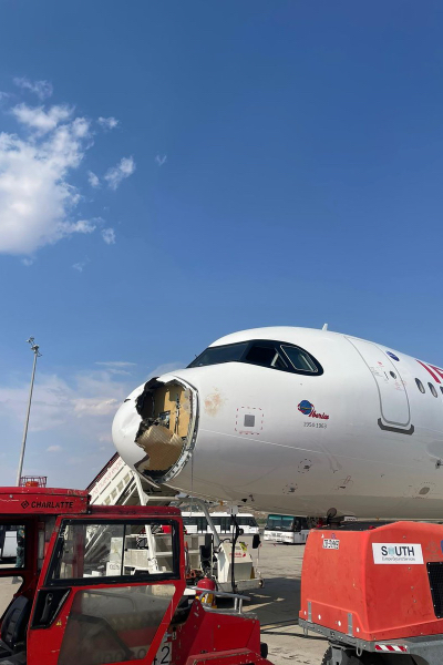 Iberia Airbus A321-253NY Flight IB579 bird strike caused emergency landing