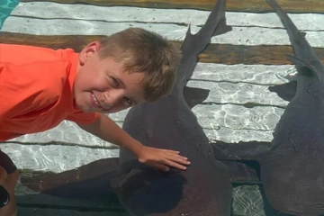 சுறாக்களுடன் விளையாட விரும்பிய பிரித்தானியச் சிறுவனுக்கு நேர்ந்த கதி