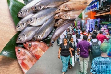 மீன் சாப்பிடுபவர்களுக்கு விடுக்கப்பட்டுள்ள எச்சரிக்கை