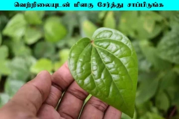 வெற்றிலையுடன் மிளகு வைத்து சாப்பிடுங்க! அதிசயத்தை கண்கூடாக பார்ப்பீங்க