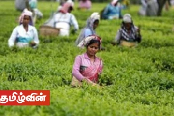 பெருந்தோட்ட தொழிலாளர் வேதனப்பிரச்சனை! நாளை பணிப்புறக்கணிப்பு