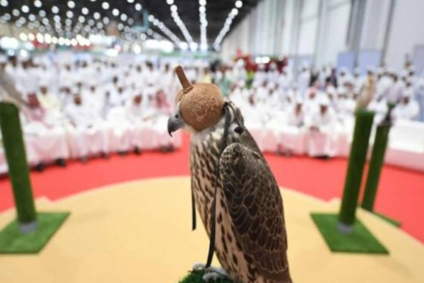1 மில்லியன் டொலருக்கு விலை போன அபூர்வ பருந்து | Rare Falcon Sold For 1 Million