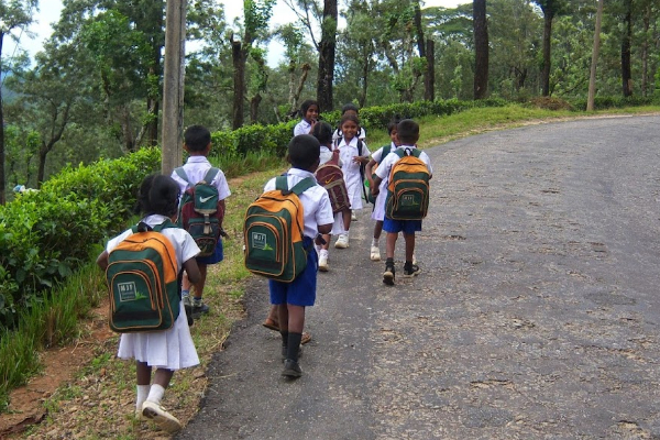 பாடசாலைகளை மூடுவது குறித்த அரசின் திட்டம் : விடுக்கப்பட்டுள்ள எச்சரிக்கை | Decision To Close Schools With Low Student Numbers