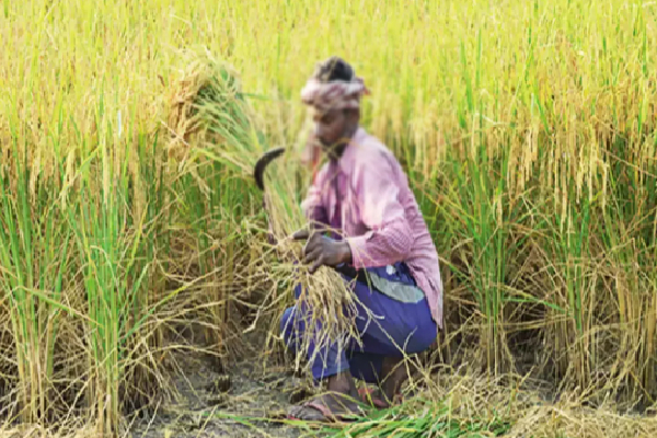 தமிழரின் உடல்களால் உரம்பெற்ற சான்றுகளில் ஒன்றுதான் உடும்பன்குளம் படுகொலை... | Udumbankula Massacre The Only Testimony