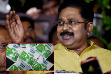 ஆவின் பச்சை நிற பால் பாக்கெட் விநியோகம் 50% குறைக்கப்பட்டுள்ளது கண்டனத்திற்குரியது - டி.டி.வி. தினகரன்!