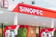 எரிபொருள் விலையை உயர்த்தியது சினோபெக்