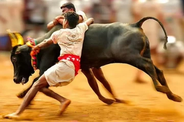 அலங்காநல்லூர் ஜல்லிக்கட்டுக்கான சூப்பர் பரிசுகள் - அமைச்சர் மூர்த்தி தகவல்