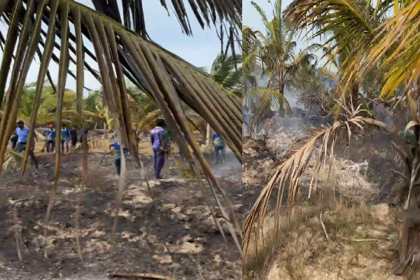 இயக்கச்சி Reecha பண்ணையில் பாரிய தீவிபத்து; நடந்தது என்ன? (Video) | Fire At Kilinochchi Yakachi Reecha Farm