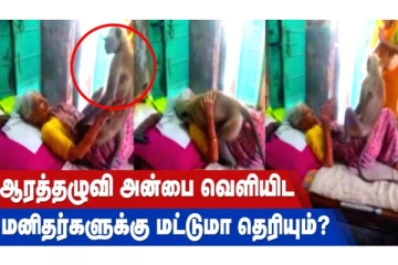 ஆரத்தழுவி அன்பை வெளியிட மனிதர்களுக்கு மட்டுமா தெரியும்?