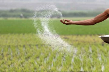 යල කන්නයේ පොහොර දෙන ආකාරය ගැන දැනුවත් කිරීමක්