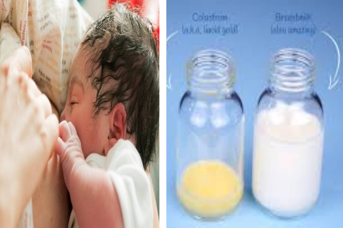 உலக தாய்ப்பால் வாரம் 2026: குழந்தைக்கு முதல் தடுப்பூசியான சீம்பாலின் முக்கியத்துவம்! | World Breastfeeding Week Benefits Of Colostrum உலக தாய்ப்பால் வாரம் 2026: குழந்தைக்கு முதல் தடுப்பூசியான சீம்பாலின் முக்கியத்துவம்! | World Breastfeeding Week Benefits Of Colostrum