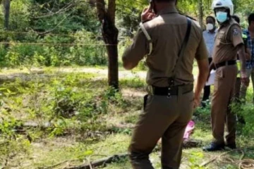 புத்தளத்தில் காட்டு யானை உயிரிழந்த நிலையில் சடலமாக மீடபு!
