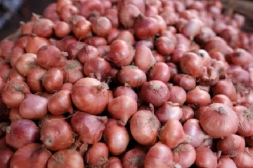 ராக்கெட் வேகத்தில் வெங்காயம் விலை - எப்போதுதான் குறையும்?