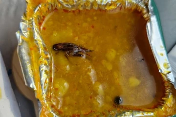 வந்தே பாரத் ரயிலில் வழங்கிய உணவு; ஐஆர்சிடிசி பரிமாறிய கரப்பான்பூச்சி - பதறிய ஜோடி!