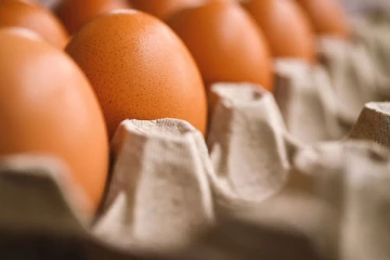 நாட்டில் அதிகரித்துள்ள முட்டை நுகர்வு: வெளியான காரணம்