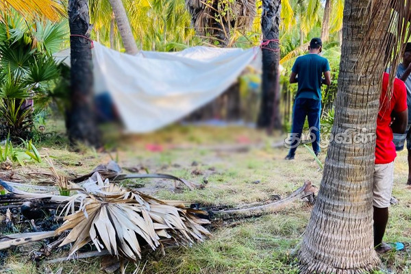 தகாத முறைக்கு உட்படுத்தப்பட்ட சிறுமி கொலை: மன்னாரில் சம்பவம் | Girl Was Killed Due To Inappropriate Method