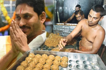 லட்டில் மாட்டுக் கொழுப்பு; இனி திருப்பதிக்கு என்னாகும்? பின்னணி!