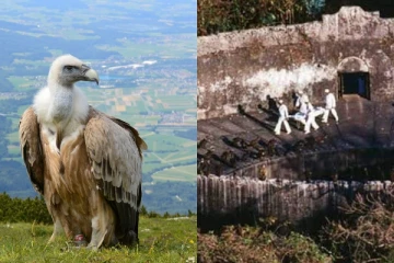 கழுகுகளுக்கு உணவாக இறந்த உடலை விட்டுச் செல்லும் மக்கள்! யார் அவர்கள்?