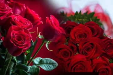 இலங்கையில் 12,000 ரூபாய் வரை உச்சம் தொட்ட ரோஜா பூக்களின் விலை