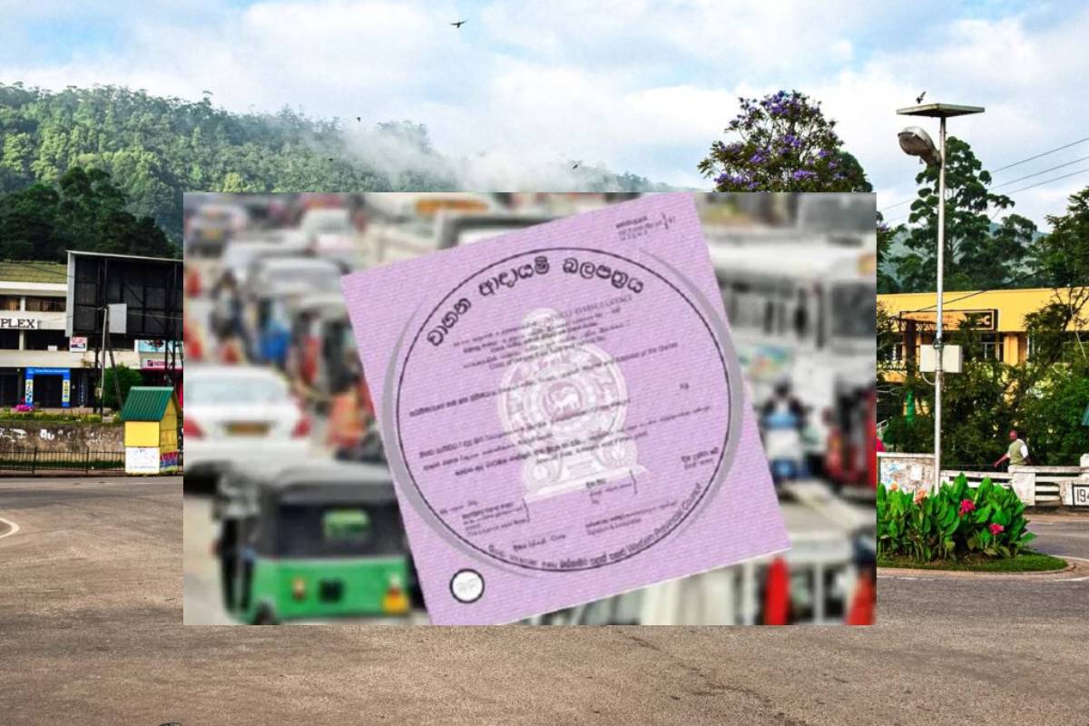 வீதிப் பயன்பாட்டில் இருந்து நீக்கப்பட்ட 28 வாகனங்கள் : வெளியான காரணம் | 28 Vehicles Temporarily Removed From Road Use
