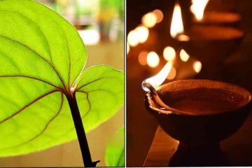 கசப்பாக இருக்கும் உங்கள் வாழ்க்கை, தித்திக்கும் தேன் போல மாற வேண்டுமா? அப்போ உடனே இதை செய்யுங்கள்!