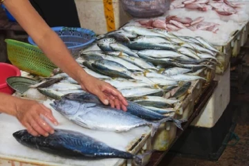 මාළු මිල අඩු වෙයිද? මෙන්න විස්තරේ