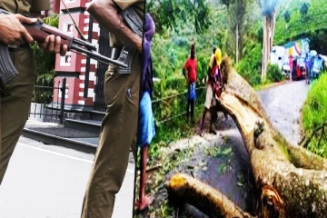 தம்புள்ளையில் மரம் முறிந்து விழுந்ததில் ஒருவர் பலி