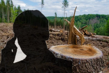 வவுனியாவில் காடழிப்பை வெளிப்படுத்திய ஆசிரியருக்கு மிரட்டல்!