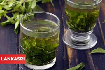 மூலிகைகளின் ராணியான துளசி இலை நீரை பருகுவதால் கிடைக்கும் அற்புத பலன்கள் என்ன தெரியுமா?