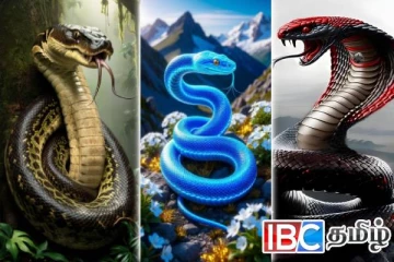 பாம்புகளை விவசாயம் செய்யும் விசித்திர நாடு: எது தெரியுமா !