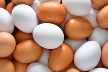 බිත්තර ගැන සාකච්ඡාවට අද සිදු වුණු දේ