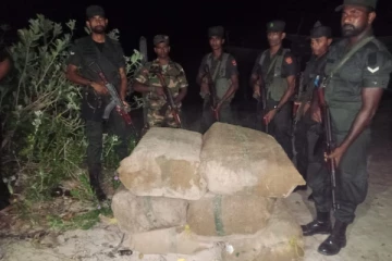 யாழில் கஞ்சா பொதிகள் மீட்பு! தீவிர விசாரணை முன்னெடுப்பு (Photos)