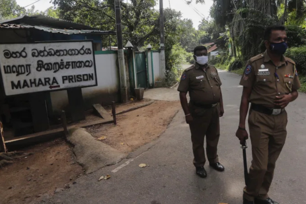 மஹர சிறைச்சாலை சம்பவம் ; விடுக்கப்பட்ட அவசரக் கோரிக்கை | Urgent Appeal After Mahara Prison Incident மஹர சிறைச்சாலை சம்பவம் ; விடுக்கப்பட்ட அவசரக் கோரிக்கை | Urgent Appeal After Mahara Prison Incident