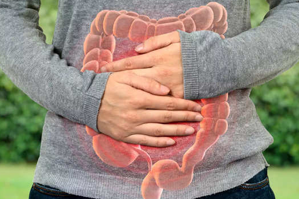 சத்துக்களின் புதையலாக கருதப்படும் நூல்கோல்! | Nutrient Considered As A Treasure Of Nutrients
