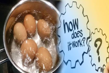 அட இது தெரியாம போச்சே! இனி முட்டை வேக வைத்த தண்ணீரை கீழே ஊற்றாதீங்க...