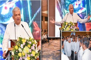 மாணிக்க கல் அகழ்வு தொழில்துறையின் அபிவிருத்தி : ஜனாதிபதியின் அறிவிப்பு