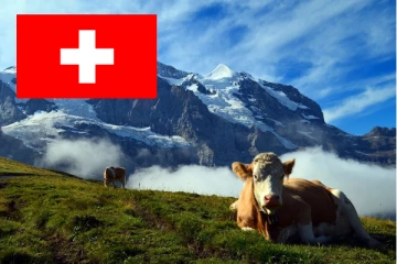 உலக தரவரிசையில் சுவிட்சர்லாந்துக்கு 10-ஆம் இடம்! எதில் தெரியுமா?