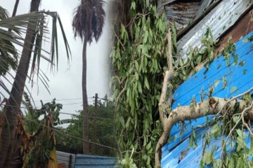 யாழில் அசாதாரண காலநிலையால் 26பேர் பாதிப்பு!