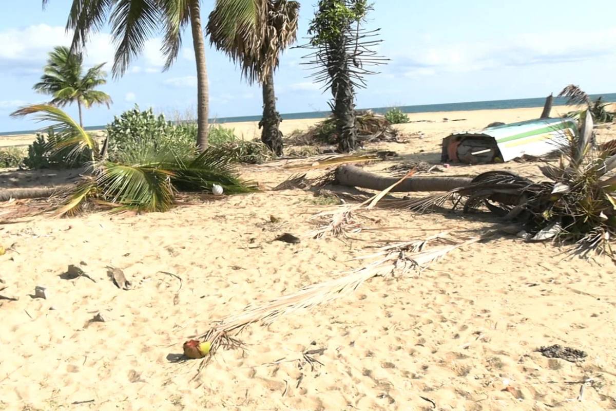 சுண்டிகுளம் பகுதியில் யானைகளால் பாதிக்கப்பட்ட குடும்பஸ்த்தர் கவலை தெரிவிப்பு | Seeks 36 Coconut Trees Destroyed By Elephants
