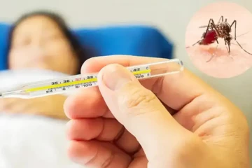 පවතින කාලගුණික තත්ත්වය මත තවත් දරුණු රෝගයක් හිස ඔසවයි