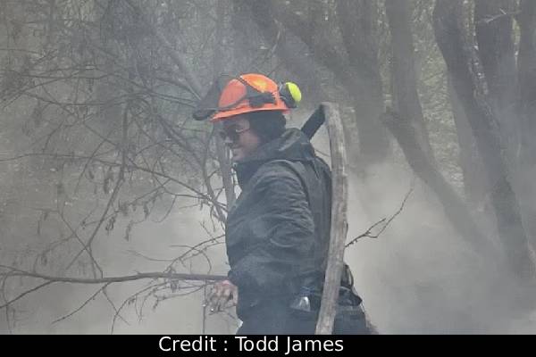 காட்டு நாய்கள் சூழ சுயநினைவிழந்து கிடந்த கனேடிய பெண் இவர்தான்: விவரங்கள் வெளியாகின | Canadian Girl Parents Found Who Dies In Australia