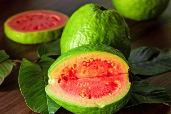 சர்க்கரை நோயாளிகள் கொய்யாபழம் சாப்பிடலாமா? பலரின் கேள்விக்கு பதில் இதோ | Guava Nutrition Value Helps Weight Loss