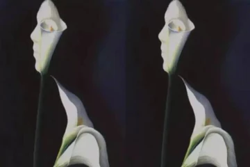 யார் எப்படிபட்டவங்கன்னு தெரிஞ்சிக்க ஒரு Test: இந்த படத்துல தெரிவது என்ன?