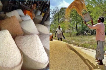 වී සහ සහල් මිල අහස උසට යයි...ලඟදීම වෙන්න යන දේ මෙන්න..