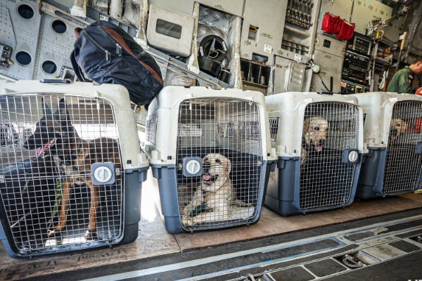 இலங்கையில் இருந்து புறப்பட்டது இந்திய தேசிய பேரிடர் மீட்பு குழு | Indian National Disaster Force Departs Sri Lanka