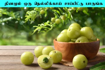 தினமும் ஒரு நெல்லிக்காய் சாப்பிட்டு பாருங்க... கண்கூடாக தெரியும் அதிசயம்