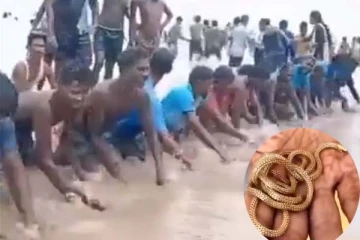 கடலில் விழுந்த தங்க செயினை எப்படி கண்டுபிடிப்பாங்கனு தெரியுமா? வைரல் காணொளி