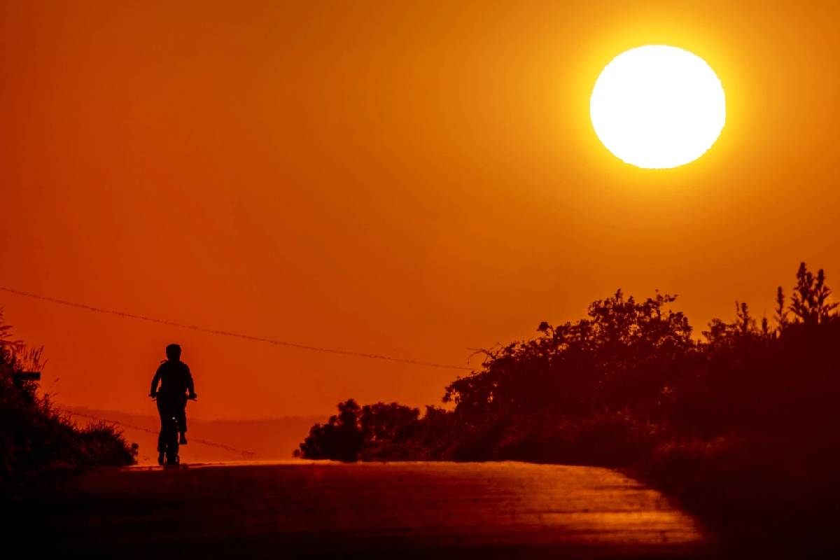 ஐரோப்பாவை உலுக்கும் வரலாறு காணாத வெப்ப அலை! | Unprecedented Heatwave Rocks Europe Germany
