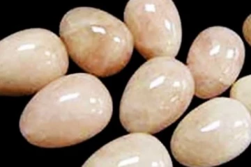 මෑතකාලීනව හමු වූ විශාලතම ගජමුතු වංචාව - එකක් ලක්ෂ 10 සිට 50 දක්වා මිලකට..