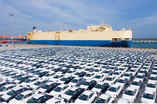 இறக்குமதி செய்யப்பட்ட 1000 வாகனங்களுக்கு நடக்கப்போவதென்ன...அவையில் கேள்வியெழுப்பிய எதிரணி எம்.பி | Rohitha Abeygunawardena Parliment Speech